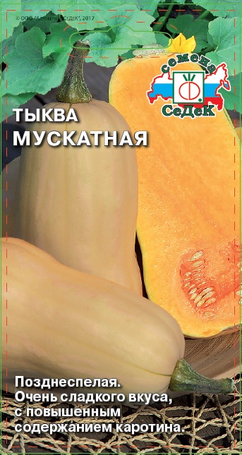 Тыква Мускатная
