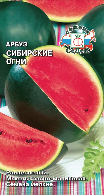 Арбуз Сибирские огни