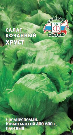 Салат Хруст