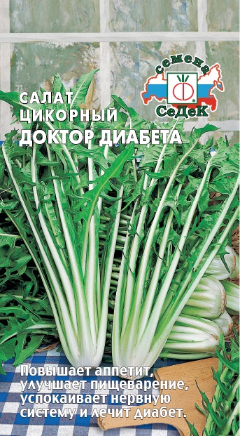 Салат цикорный Доктор Диабета