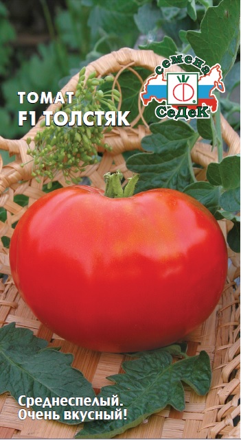 Томат Толстяк F1