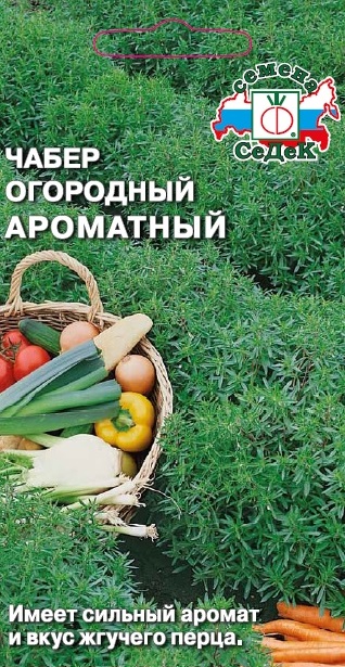 Чабер огородный Ароматный