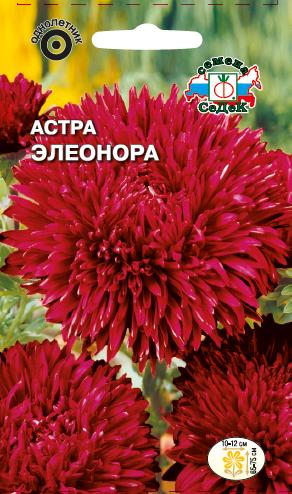 Астра Элеонора