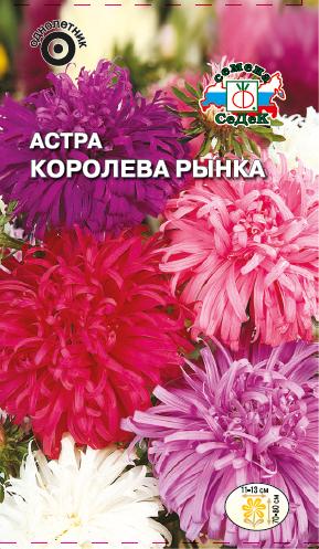 Астра Королева рынка