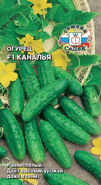 Огурец Каналья F1