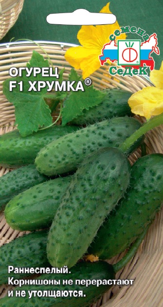 Огурец Хрумка F1