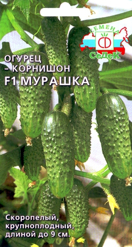 Огурец Мурашка F1