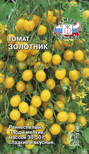 Томат Золотник