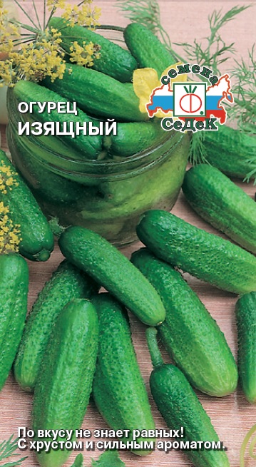 Огурец Изящный