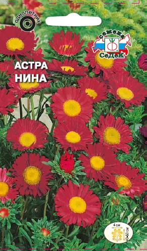 Астра Нина