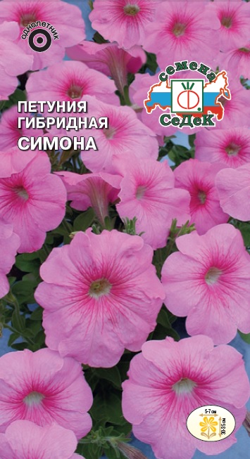 Петуния Симона гибридная