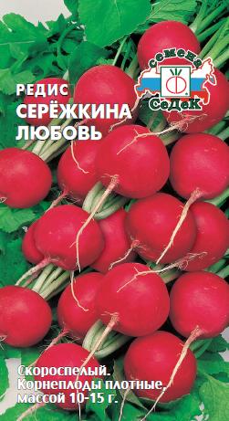 Редис Серёжкина любовь