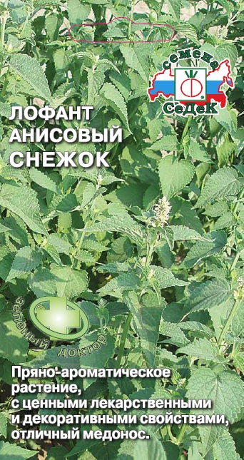 Лофант анисовый Снежок