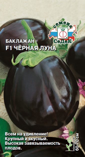 Баклажан Черная Луна