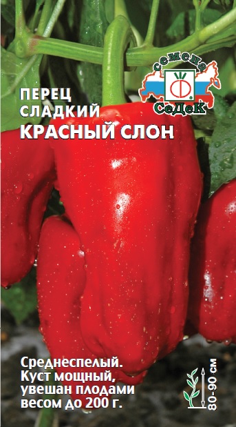Перец Красный слон