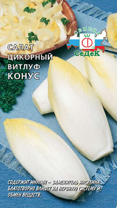 Салат цикорный Витлуф Конус