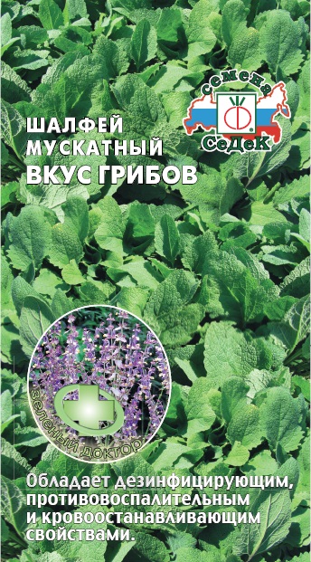 Шалфей мускатный Вкус Грибов