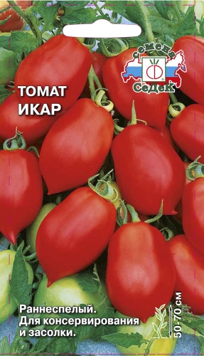 Томат Икар