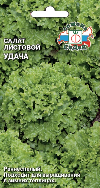 Салат Удача