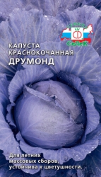 Капуста Друмонд Капуста Друмонд
