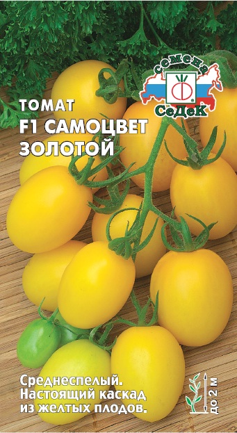 Томат Самоцвет Золотой F1