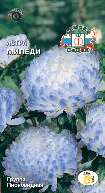 Астра Миледи