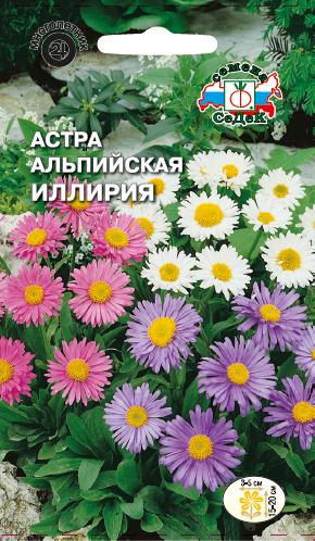 Астра Иллирия