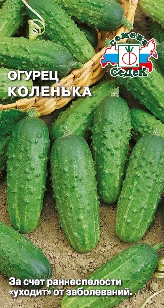Огурец Коленька