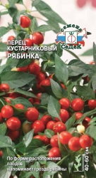 Перец Рябинка Перец Рябинка