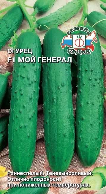 Огурец Мой Генерал F1