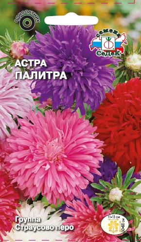 Астра Палитра