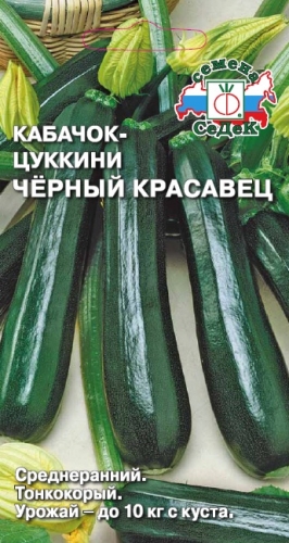 Кабачок Черный красавец