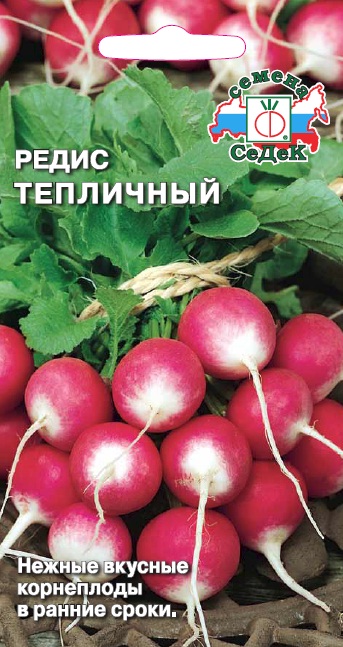 Редис Тепличный