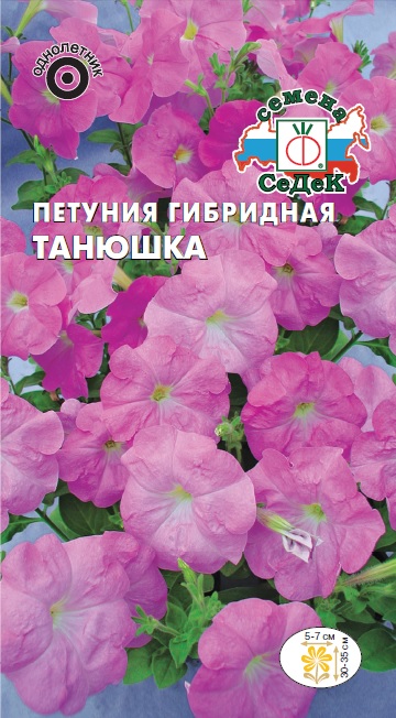 Петуния Танюшка гибридная