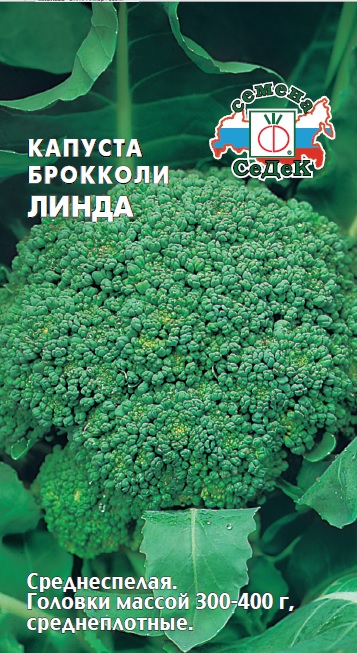 Капуста Линда