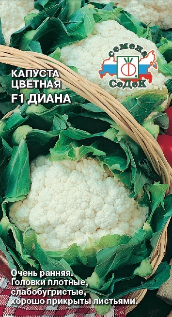 Капуста Диана F1 (цветная)