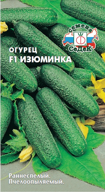 Огурец Изюминка® F1