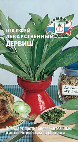 Шалфей лекарственный Дервиш