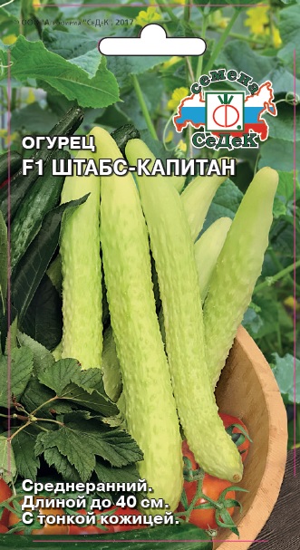 Огурец Штабс-капитан F1