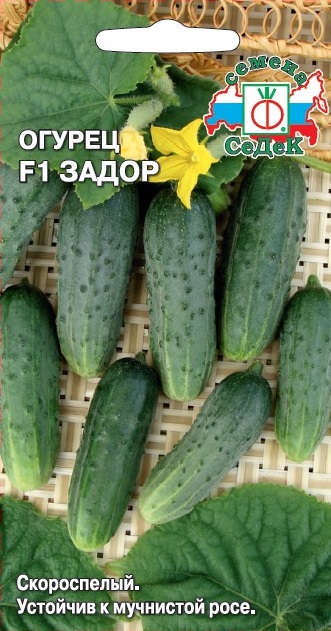 Огурец Задор F1