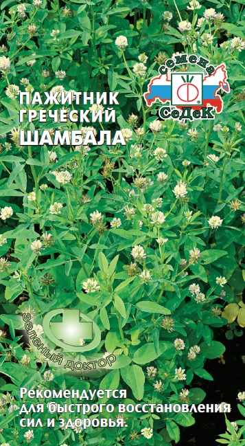 Пажитник греческий Шамбала