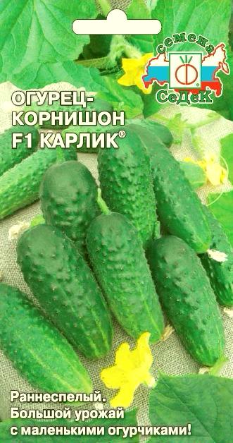 Огурец Карлик F1