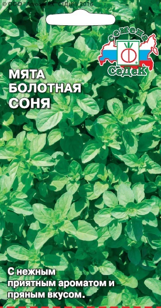 Мята болотная Соня