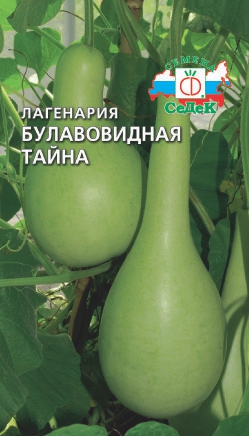 Кабачок Лагенария Тайна булавовидная