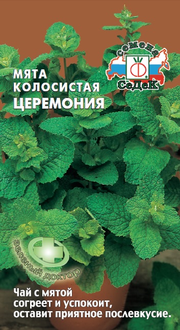Мята колосистая Церемония
