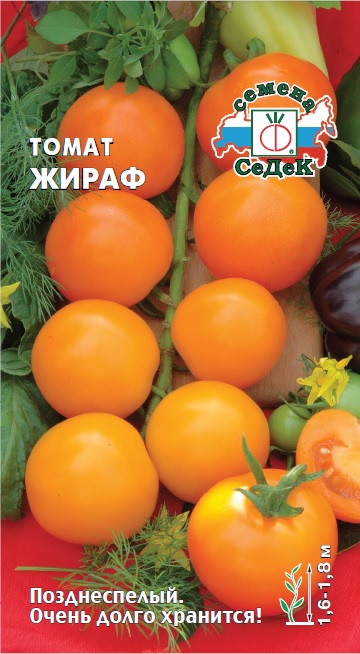 Томат Жираф