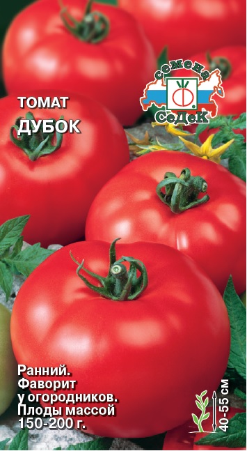Томат Дубок