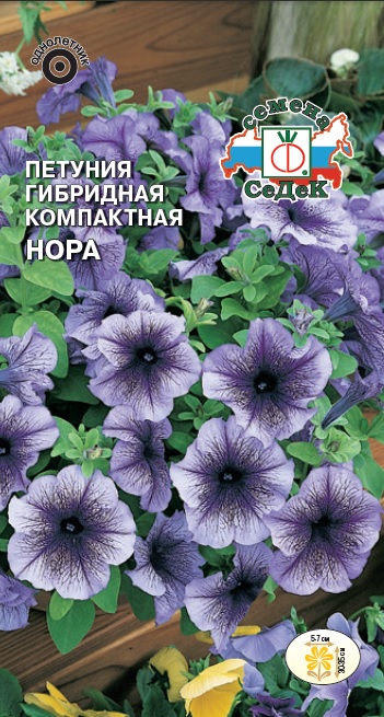 Петуния Нора гибридная компактная