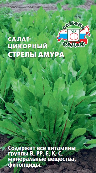Салат Стрелы Амура