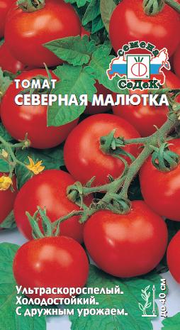 Томат Северная малютка
